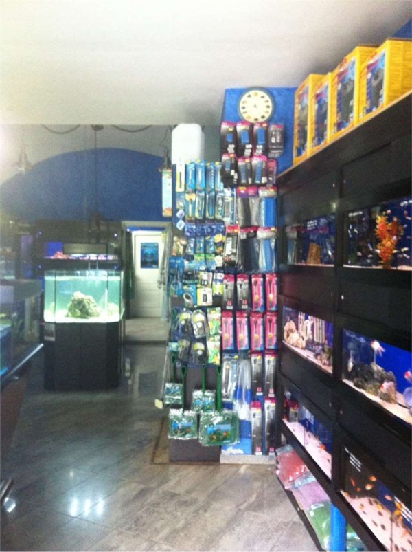 locale commerciale in vendita a Pinerolo