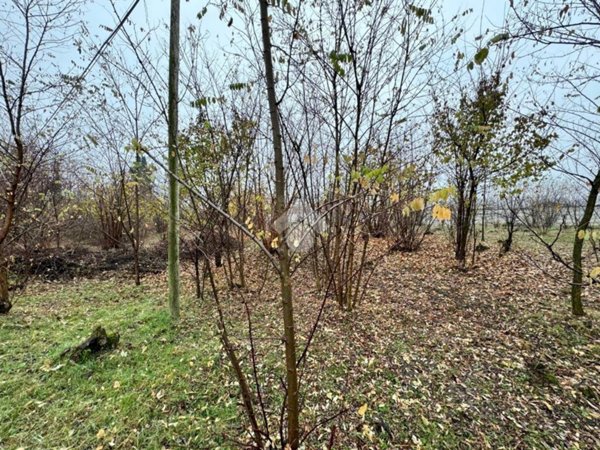 terreno edificabile in vendita a Pinerolo in zona Baudenasca