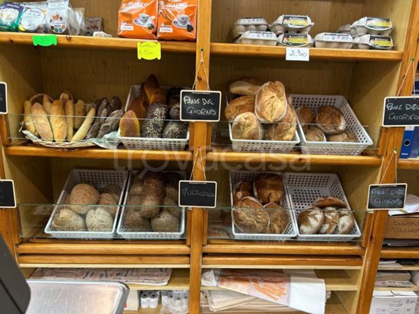 negozio in vendita a Pinerolo