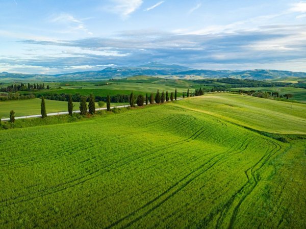 terreno edificabile in vendita a Pinerolo in zona Avaro/Tron
