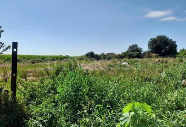 terreno agricolo in vendita a Malagnino