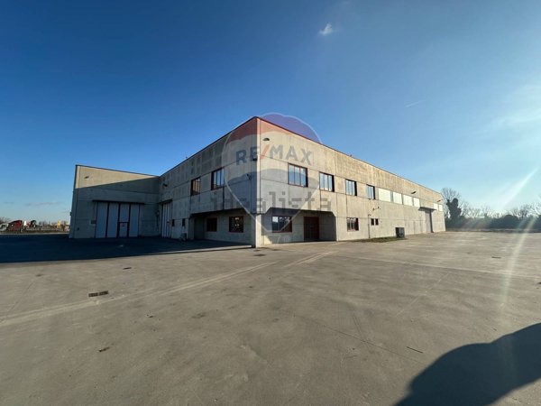 negozio in vendita a Martignana di Po