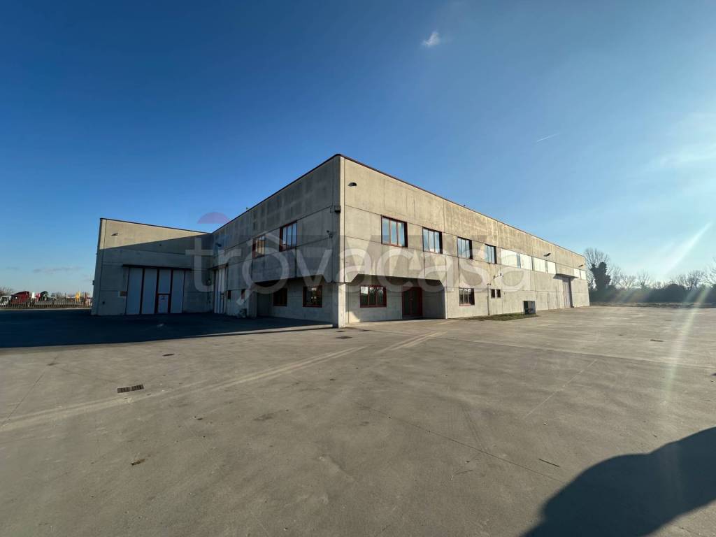 locale commerciale in vendita a Martignana di Po