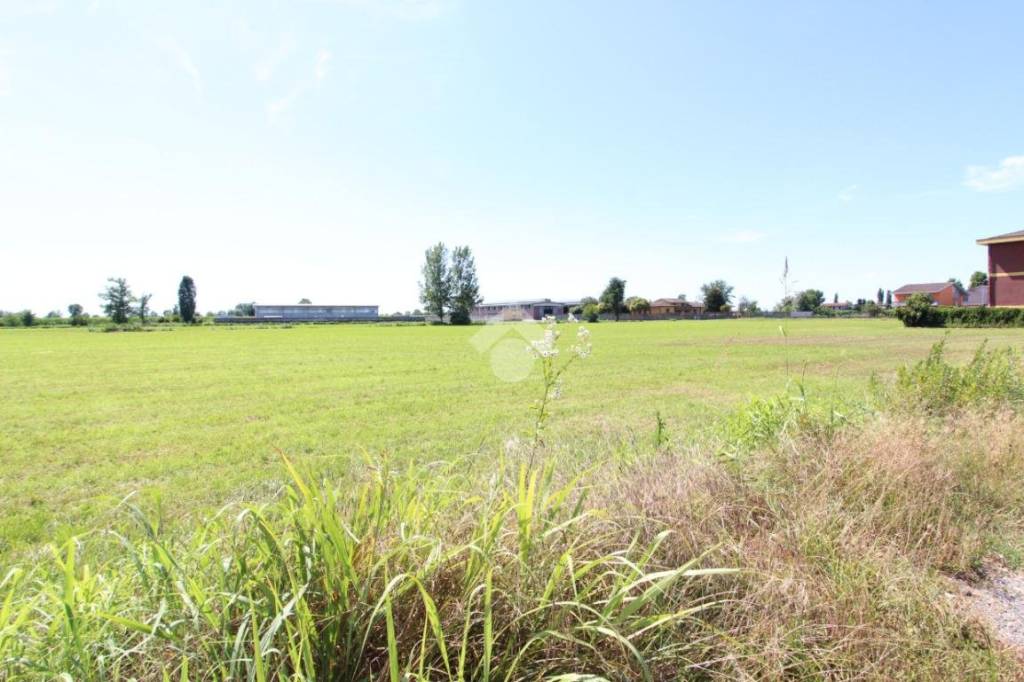 terreno agricolo in vendita a Monte Cremasco