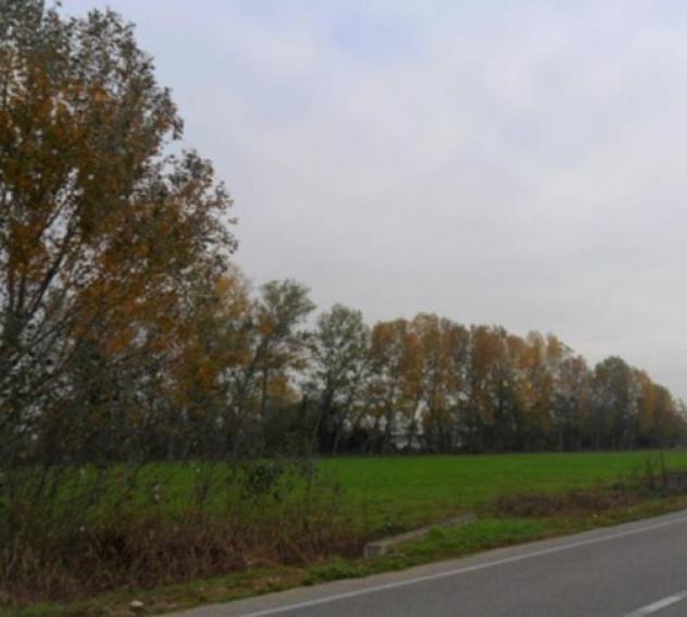 terreno agricolo in vendita a Monte Cremasco