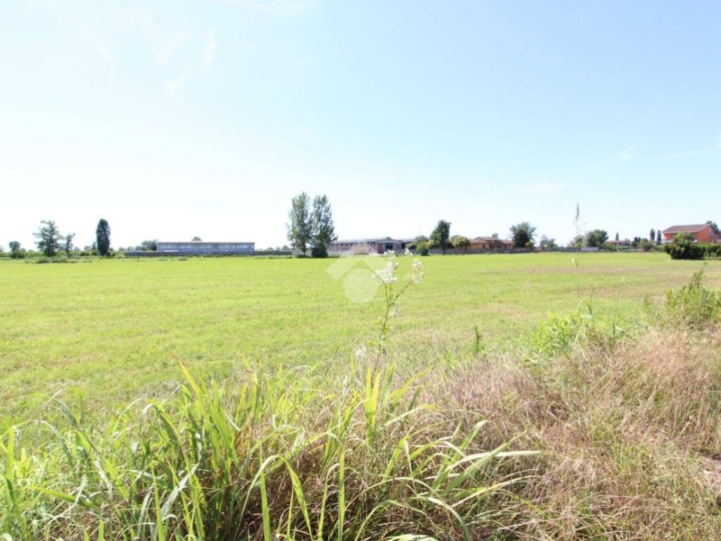 terreno agricolo in vendita a Monte Cremasco