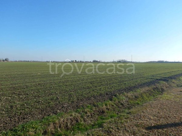 terreno agricolo in vendita a Moscazzano
