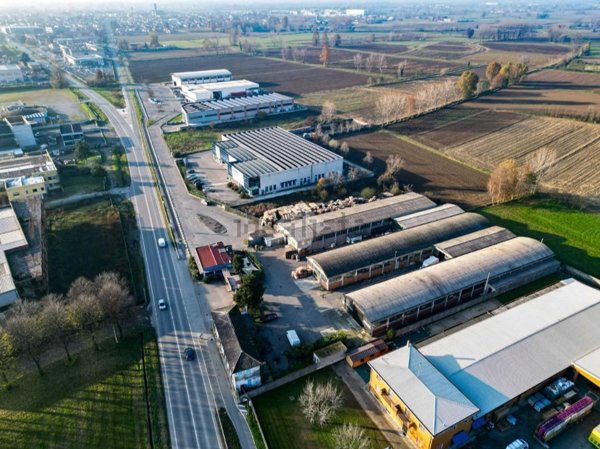 pentavano in vendita ad Offanengo