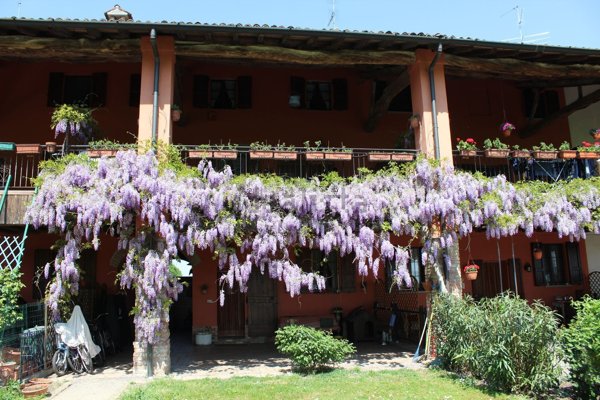 quadrivano in vendita a Palazzo Pignano