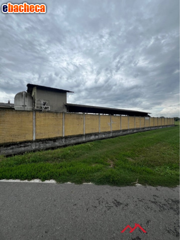 appartamento in vendita a Pandino