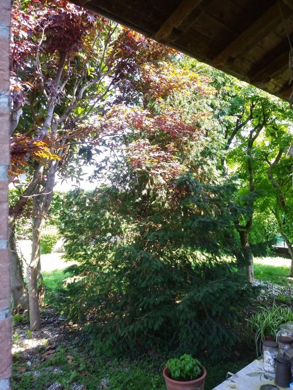 casa indipendente in vendita a Pandino