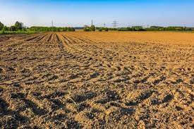 terreno agricolo in vendita a Pandino