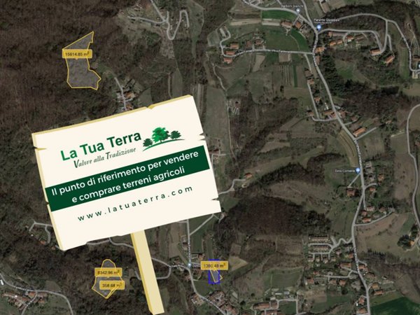 terreno edificabile in vendita a Pino Torinese in zona Valle Ceppi