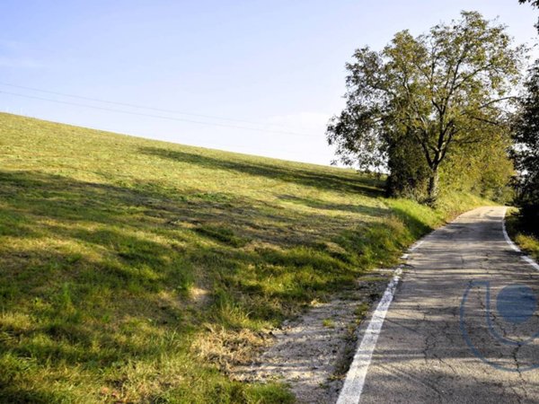 terreno agricolo in vendita a Pino Torinese