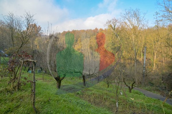 casa indipendente in vendita a Pino Torinese