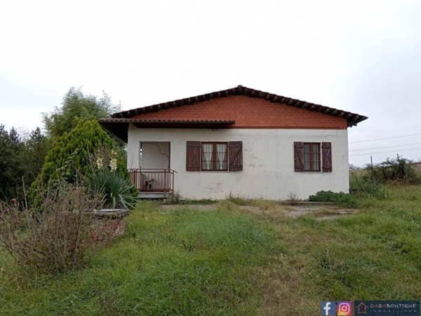 negozio in vendita a Pino Torinese