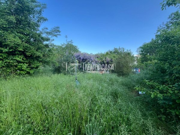 terreno agricolo in vendita a Pino Torinese