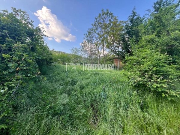 terreno agricolo in vendita a Pino Torinese