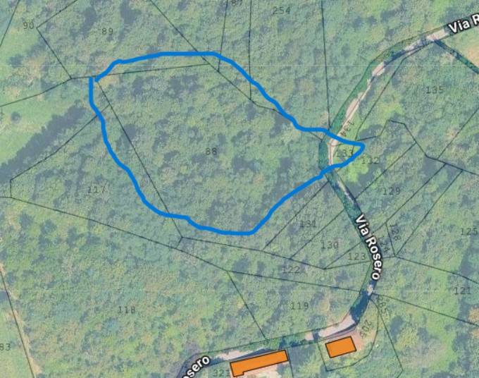 terreno agricolo in vendita a Pino Torinese