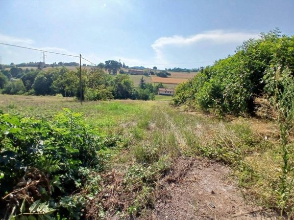 terreno agricolo in vendita a Pino Torinese in zona Valle Ceppi