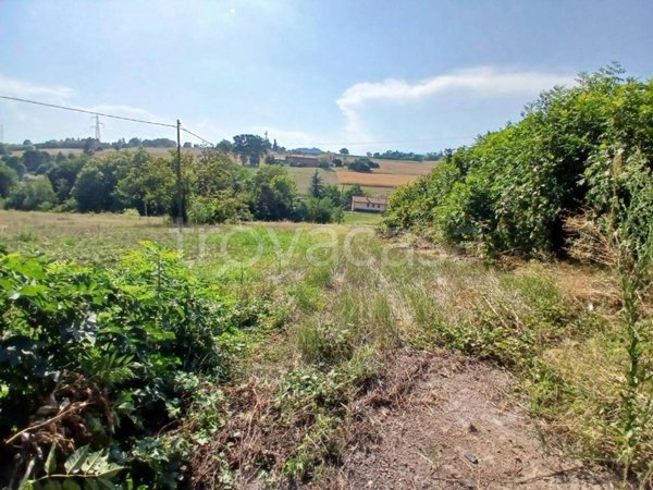 terreno agricolo in vendita a Pino Torinese in zona Valle Ceppi