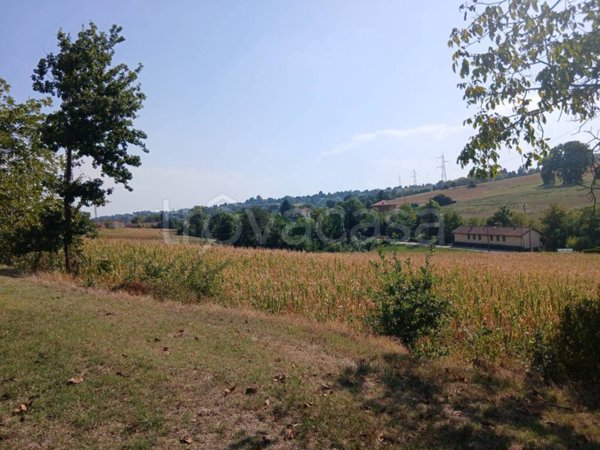 terreno agricolo in vendita a Pino Torinese in zona Valle Ceppi