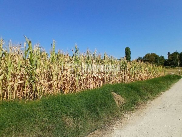 terreno agricolo in vendita a Pino Torinese in zona Valle Ceppi