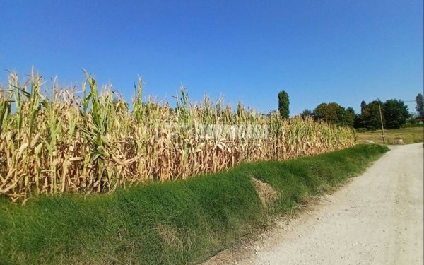 terreno in vendita a Pino Torinese in zona Valle Ceppi