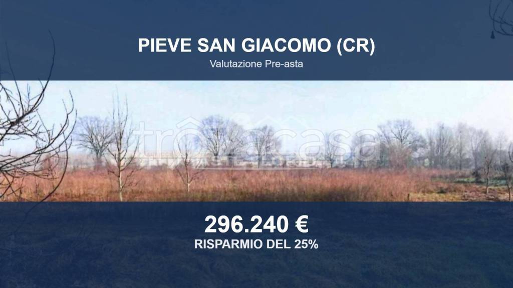 terreno agricolo in vendita a Pieve San Giacomo