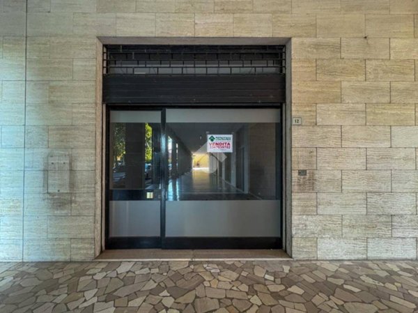 immagine annuncio 0 di 13