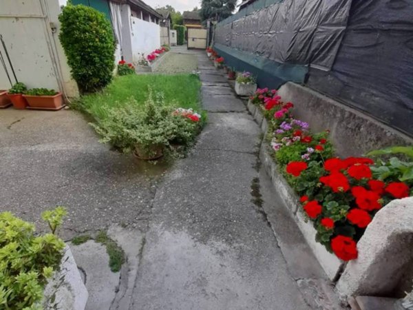 casa indipendente in vendita a Ripalta Arpina