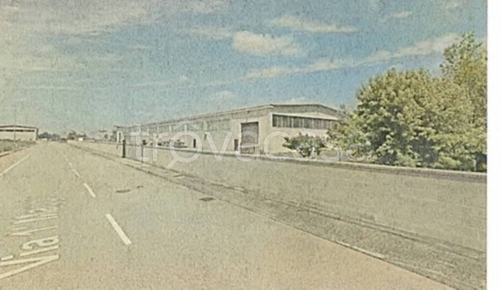 locale commerciale in vendita a Rivarolo del Re ed Uniti