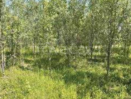 ufficio in vendita a Romanengo