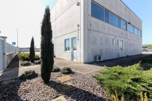 appartamento in vendita a San Daniele Po