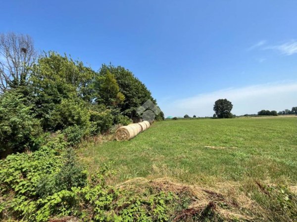 terreno agricolo in vendita a San Daniele Po