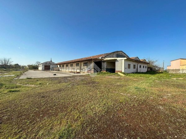 capannone in vendita a San Daniele Po