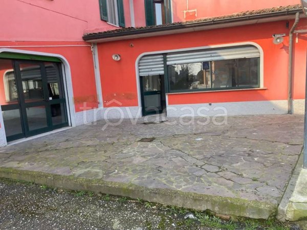 quadrivano in vendita a San Daniele Po