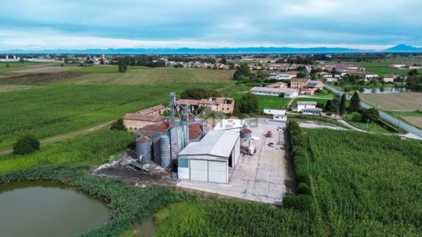 terreno edificabile in vendita a Scandolara Ravara