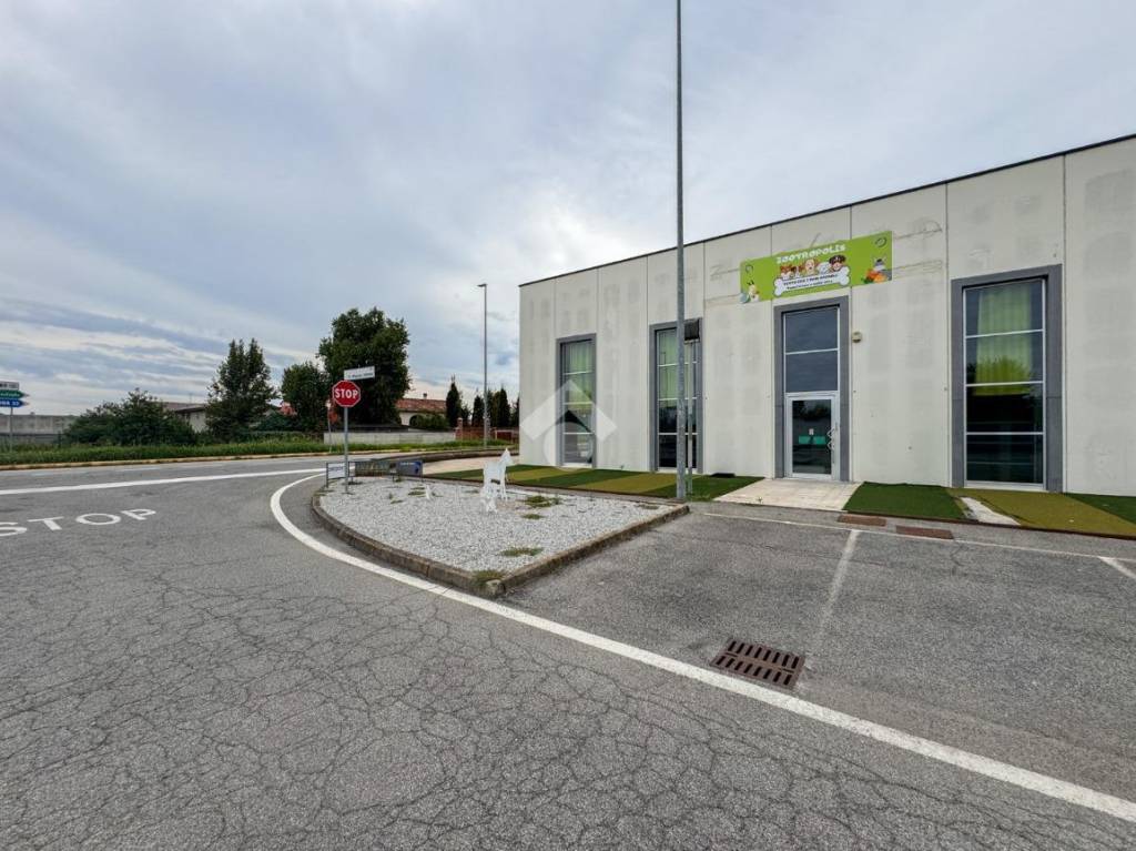 immagine annuncio 0 di 15