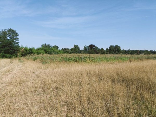 terreno agricolo in vendita a Soncino