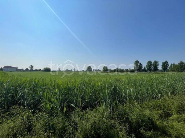 terreno agricolo in vendita a Sospiro
