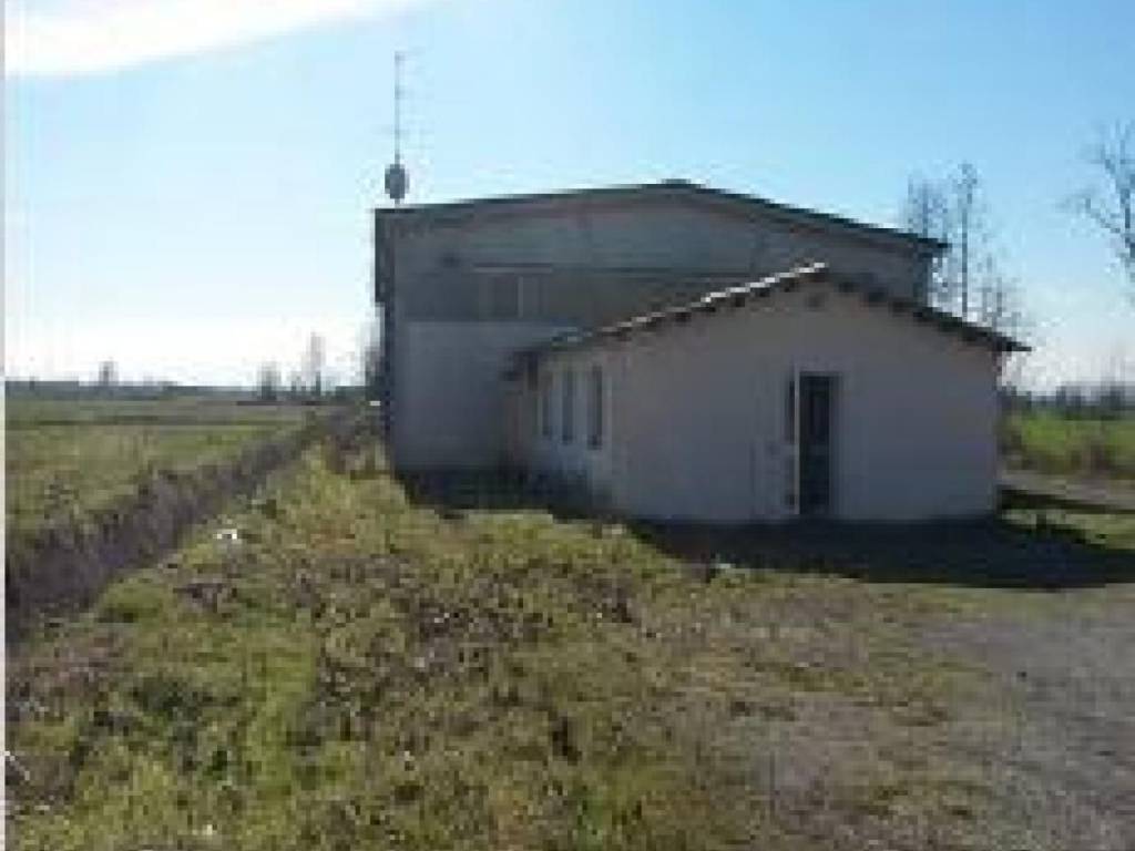 terreno agricolo in vendita a Sospiro