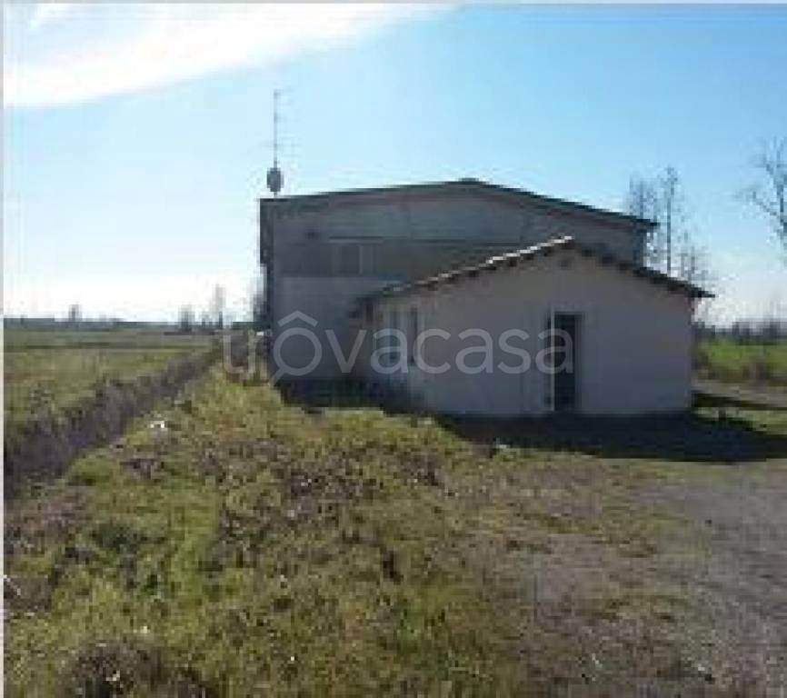 terreno agricolo in vendita a Sospiro