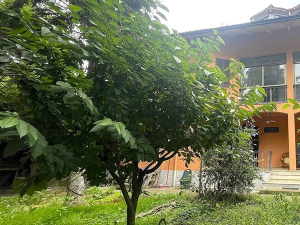 casa indipendente in vendita a Spinadesco