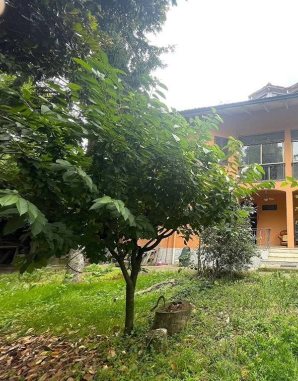 casa indipendente in vendita a Spinadesco