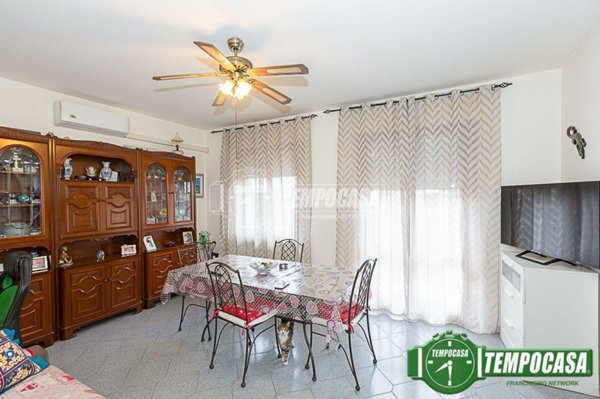 immagine annuncio 0 di 15