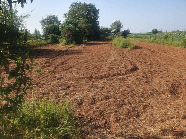 terreno agricolo in vendita a Piossasco