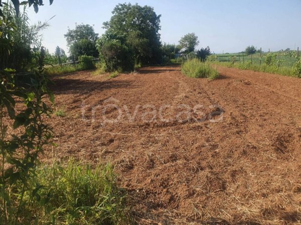 terreno agricolo in vendita a Piossasco