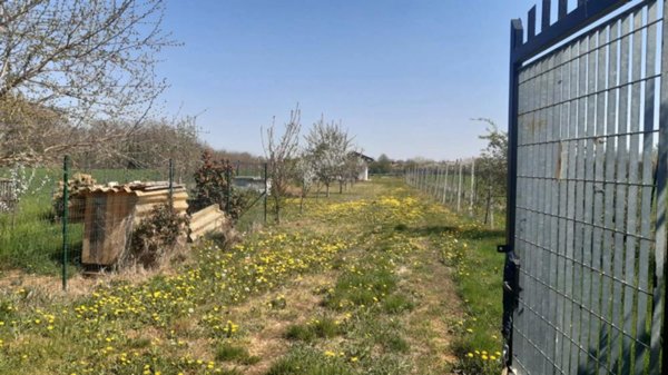 terreno agricolo in vendita a Piossasco