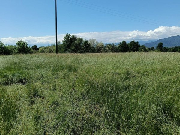 terreno agricolo in vendita a Piossasco